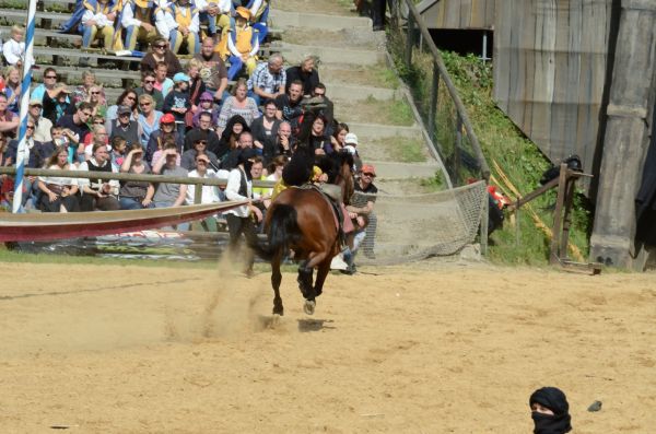 Pulsa para ver la imagen a tamaño completo
