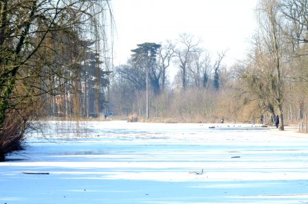 DSC_4106a.jpg