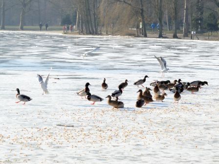 DSC_4108a.jpg