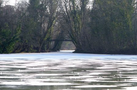 DSC_4128a.jpg