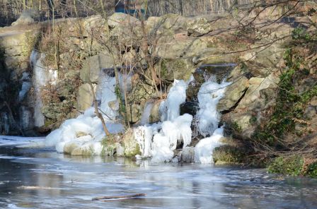 DSC_4157a.jpg