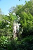 DSC_2761.JPG