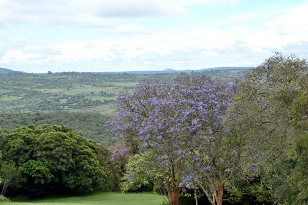 DSF_2673.JPG