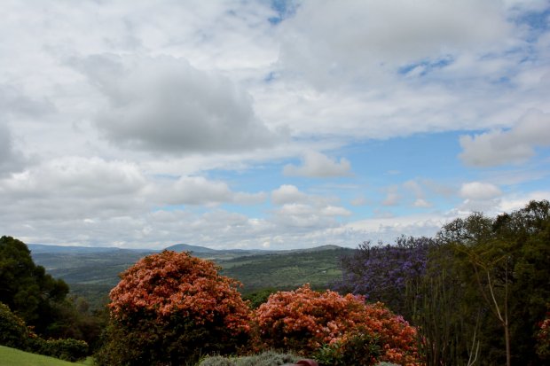 DSF_2682.JPG