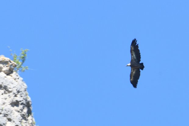 DSC_0348.JPG