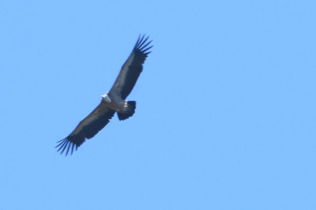 DSC_0368.JPG