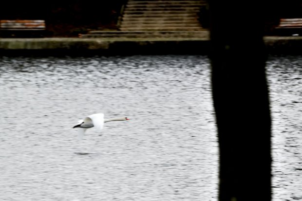 DSC_2837.JPG